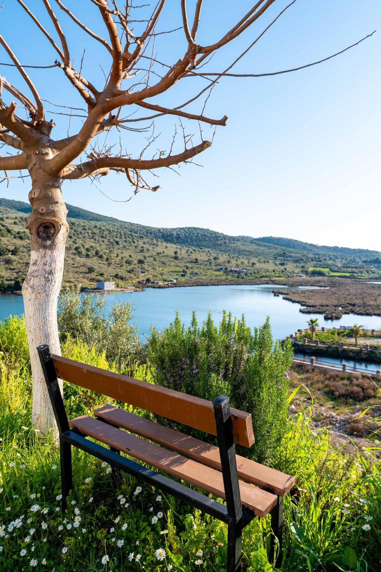 Vila Agim Doko كساميل المظهر الخارجي الصورة